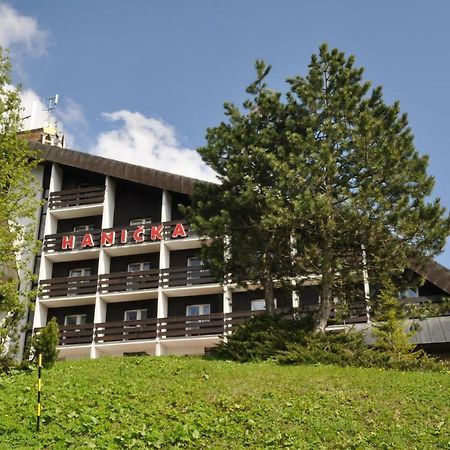 Horsky Hotel Hanicka Špindlerŭv Mlýn Esterno foto